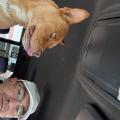 Photo of Paul Nalley jr.|||, 47, man