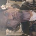Photo of sam karny|||, 40, man