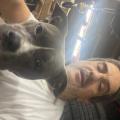 Photo of Donnie Vestal|||, 50, man