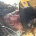 Photo of Jon Rister|||, 44, man